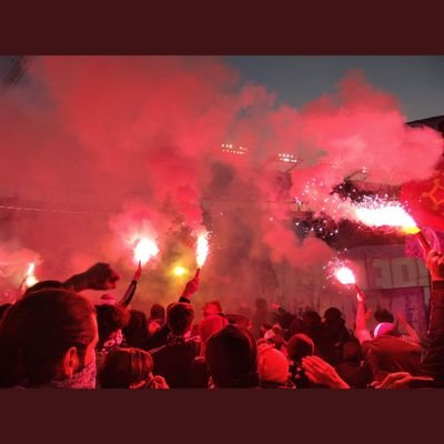 Lefortmaxime13's profile picture. Toulouse 💜🤍