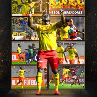 iotokoturaja's profile picture. Solo Aucas y mi selección 🇪🇨.