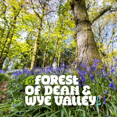 Celebrating the stunning #DeanWye: the ancient Forest of Dean & wild Wye Valley, its landscape, history, wildlife, fun, art, culture, adventure, food & drink!