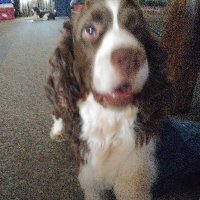 Luanna (@luanna723752098) 's Twitter Profile