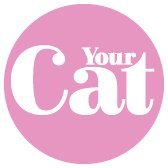 Your Cat(@YourCatmagazine) 's Twitter Profile Photo