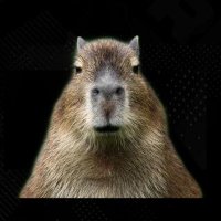 CapyEsports (@capybaraesports) 's Twitter Profile