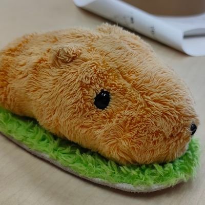 好きなもの：PCパーツ、ジャンクパーツ、そして酒
/本格水冷やってます/社畜ジサカー
/好きなパーツは赤青問わずCPU/ 
PCは構成考えて組むまでが好き、ベンチ&OC後、放逐。
本職はガチガチの機械設計者