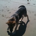 cassie cullen - @southpawcc - Twitter