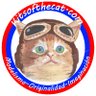 KitsoftheCat's profile picture. Somos una tienda #online  de #modelismo, entusiastas de las maquetas, cuanto más #Frikis mejor! Fans de la #SciFi el #Steampunk y el mundo #Gunpla!