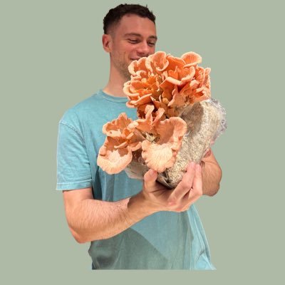 naturesnetwork_'s profile picture. Exploring the benefits of medicinal mushrooms and how to grow them at home!