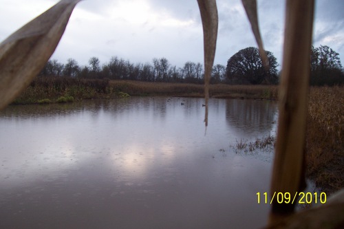 GooseDuckHunter's profile picture. Hayes Waterfowl Hunt Club is a Private Water Fowl Hunting Club, Second to None. Book your hunt today.