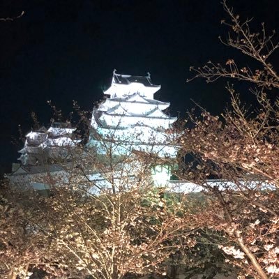 ashito0703's profile picture. 03/東海オンエア箱推し 仲良くしてください