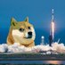 不下山 𝕏 ÐÐÐÐ To the mooon🇨🇦🇺🇸 (@xiashan3) Twitter profile photo 不下山 𝕏 ÐÐÐÐ To the mooon🇨🇦🇺🇸 (@xiashan3) Twitter profile photo