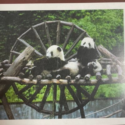 ama__dayoo's profile picture. #リバプール並みの切り替えの速さ