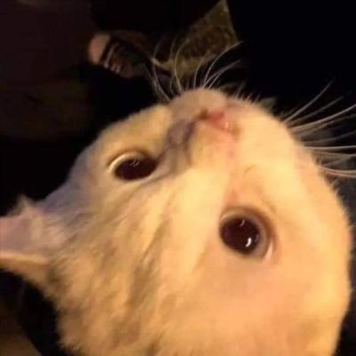 แวงさんのプロフィール画像