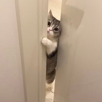 04fu30's profile picture. 法政 国際文化