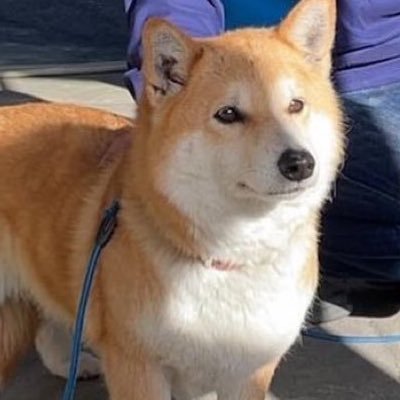 abc1998111's profile picture. ちょうど今頃君と出会って( ᕱ°ᗜ°ᕱ)