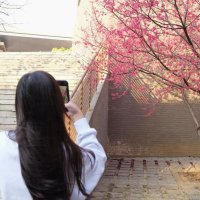 cora (@cora_clear) 's Twitter Profile