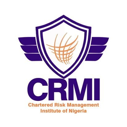 Register to be part of our Capacity Building Workshop on a Future Of Financial Stability & Cyber Risk @crmi_ng