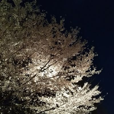 hiromi_kti's profile picture. 田中圭くん、戸次重幸さん、眞島秀和さん、星野源さんが好きです。
OLは全部好き。intheskyからの子残念、からのNACS箱推し、NORD箱推し（&健推し）。OLR公安ズからは井浦新さん推し。
かなり前に成人済み。無断転載しているかた、および無断転載をrp＆いいねしてるかたはフォローいたしません。