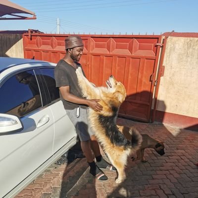 _ngezi's profile picture. https://t.co/VsVP3sd4Ok |data science