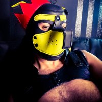 lvPup (@pup_lv) 's Twitter Profile