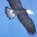 Everett Eagle - @EverettEagle1 - Twitter