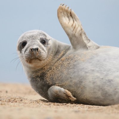 dogecoinso82297's profile picture. 