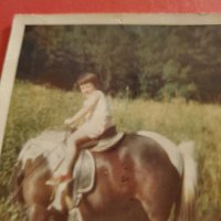 Liz (@lizlooney2) 's Twitter Profile Photo Liz (@lizlooney2) 's Twitter Profile Photo