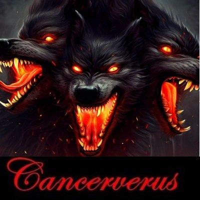 ancerverus Profile Picture