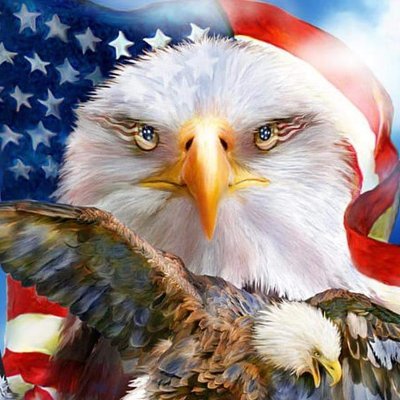 🇺🇲*MAGA🇺🇲 Patriot*🇺🇲Firefighter* Former LEO* Retired* Conservative Independant*🦅 defender of 1A*2A*IFBAP🇺🇲ΜΟΛΩΝ ΛABE🇺🇲