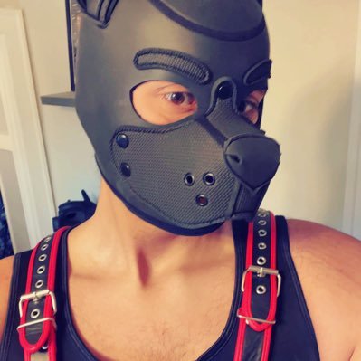 I’m a fun Pup that loves to play!!!! Also Must be 18+!!!!