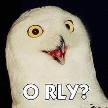 salmon_azul's profile picture. Cuenta nueva