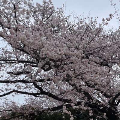 wOR551zoni's profile picture. 20↑ow2から始めて遊んでるけど誰かと一緒にプレイしたい！