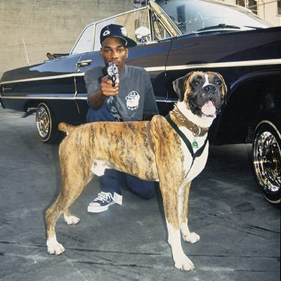 CooleysComrade's profile picture. I like us