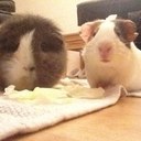 Laura Greig - @LauraGreig4 - Twitter