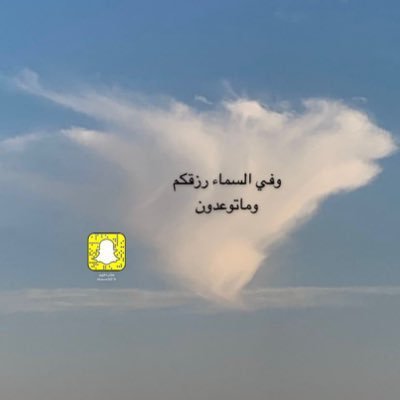 مدربه معتمده دولي و محلي ….
