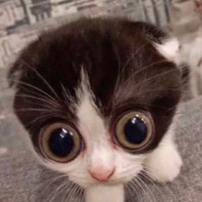 bbane17's profile picture. 