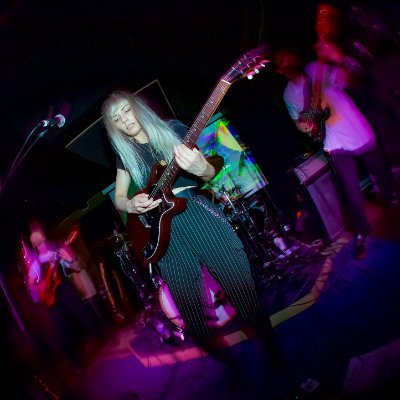 hello@pavethejungle.com
https://t.co/YsmLRgMNk2