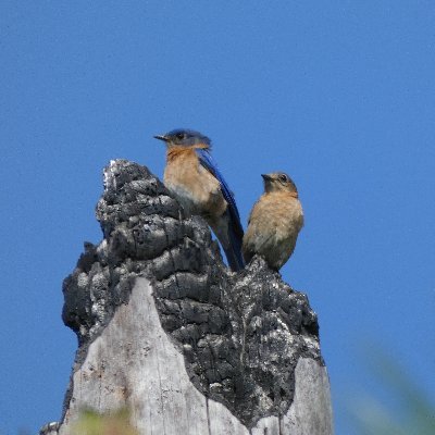 Stylus1979's profile picture. 