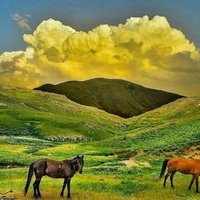 Ibn Sufyan (@ibnsufyan313) 's Twitter Profile