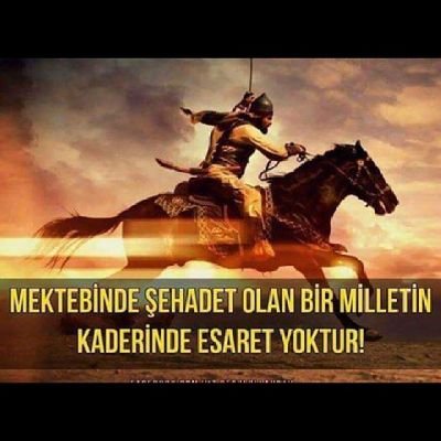 İİBF işletme mezunu,iletişim fakültesi RTS okuyor Emekli 
(Hira Dağı kadar MÜSLÜMAN, Tanrı Dağı kadar TÜRKÜZ)
(Alparslan Türkeş)(Allah rahmet eylesin)