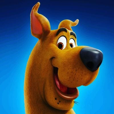 nommkey's profile picture. Why are you reading my bio?
PUBG Mobile
name- £tavamam£