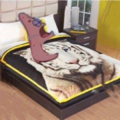 shortyjan's profile picture. praise The Real