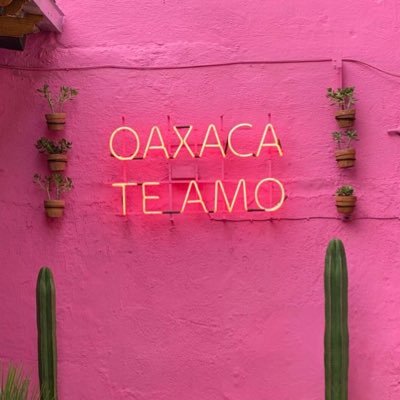 ross_gr's profile picture. Sencilla, noble, tranquila, dispuesta a ayudar, oaxaqueña de corazón, soy pedagoga, amo a mis ángeles de 4 patas Azabache y Candy