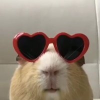 eliza (@atamiyiz) Twitter profile photo