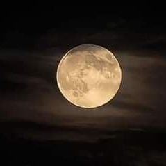 RAGHADAL_YOUSEf's profile picture. “ Remember to be happy.”

-Business /Management(BAU)📚