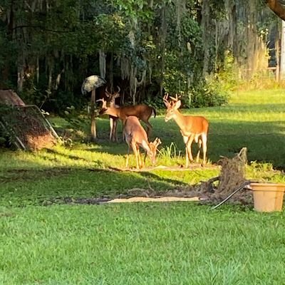 WEDO2CU's profile picture. 