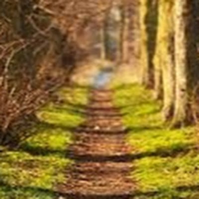 george_emp's profile picture. John 3:16 | Smart contracts security researcher (in view) | wish me well