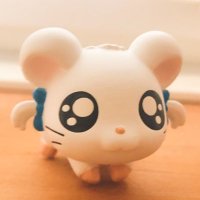 かし仔 (@k_hjk_p) 's Twitter Profile