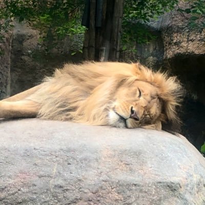 owarinowar's profile picture. 全部やめたくなる衝動