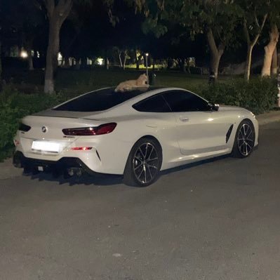 tradebeastgg's profile picture. 