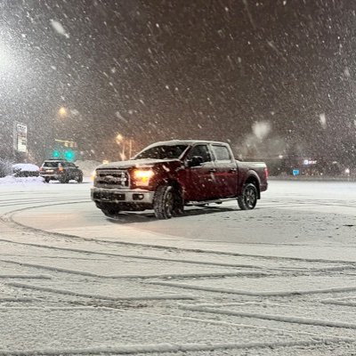 Myplusoneisadog's profile picture. 