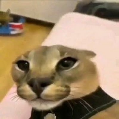 nurvyy__'s profile picture. 